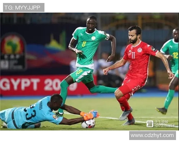 突尼斯与马里足球队球员身价对比分析及市场价值探讨 突尼斯与马里足球队球员身价对比分析及市场价值探讨